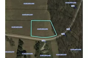 21-59 Lake Carroll Blvd, Lake Carroll, IL 61046 - Photo 39