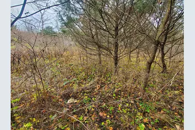 16 Bayberry Drive, Galena, IL 61036 - Photo 9