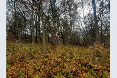 16 Bayberry Drive, Galena, IL 61036 - Photo 11