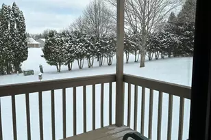 704 Brynnwood Ln, Lena, IL 61048 - Photo 43