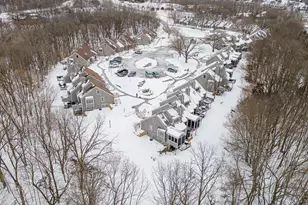 131 Plum Cove Dr, Galena, IL 61036 - Photo 37