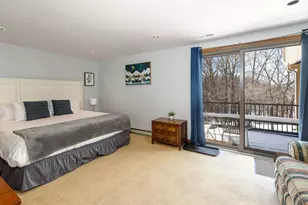 131 Plum Cove Dr, Galena, IL 61036 - Photo 29