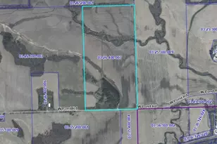 4092 W Pond Rd, Leaf River, IL 61047 - Photo 71