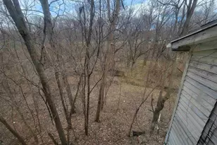 408 E 4th St, Spring Valley, IL 61362 - Photo 21