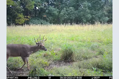 000 Messmer Road, Savanna, IL 61074 - Photo 73