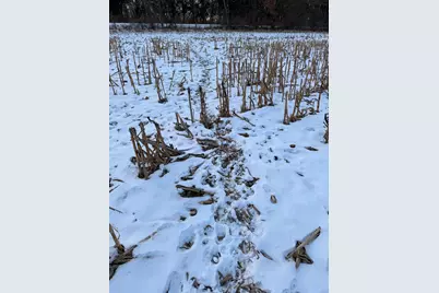 000 Messmer Road, Savanna, IL 61074 - Photo 33