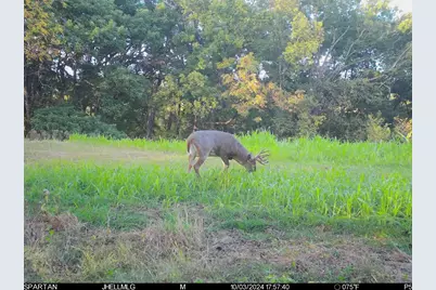 000 Messmer Road, Savanna, IL 61074 - Photo 67