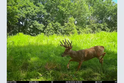 000 Messmer Road, Savanna, IL 61074 - Photo 81