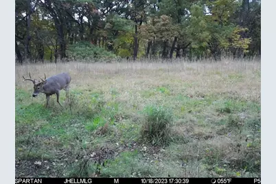 000 Messmer Road, Savanna, IL 61074 - Photo 75