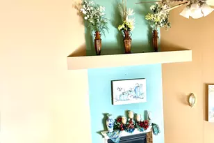 344A Cassidy Ct, Utica, IL 61373 - Photo 11