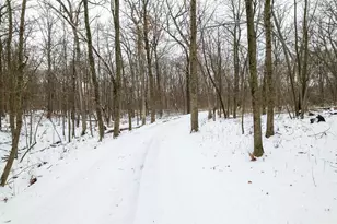 [Address not provided], Stillman Valley, IL 61084 - Photo 85