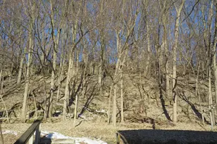 418 Broadway, Galena, IL 61036 - Photo 63