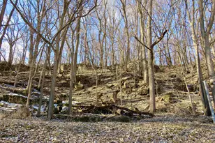 418 Broadway, Galena, IL 61036 - Photo 61