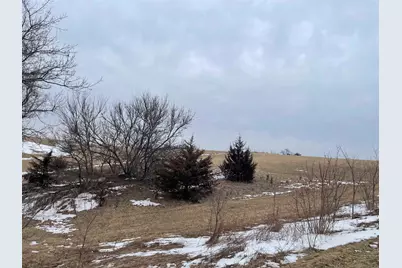 320 Thunder Bay Road, Galena, IL 61036 - Photo 3