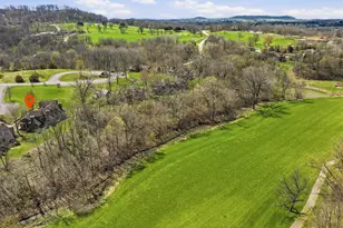 120 Walnut Hill Dr, Galena, IL 61036 - Photo 37