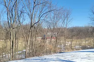 120 Walnut Hill Dr, Galena, IL 61036 - Photo 27