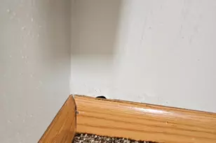 5927 Linden Rd, Rockford, IL 61108 - Photo 27