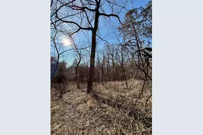 39.61 Acres +/- Tbd Donegan Street, Galena, IL 61036 - Photo 35