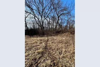 39.61 Acres +/- Tbd Donegan Street, Galena, IL 61036 - Photo 31