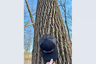 39.61 Acres +/- Tbd Donegan Street, Galena, IL 61036 - Photo 39