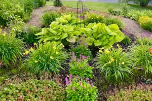 24 Butternut Ln, Galena, IL 61036 - Photo 53