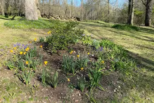 7162 Pomeroy Rd, Rockton, IL 61072 - Photo 73