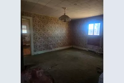 201 W 2nd Street, Leaf River, IL 61047 - Photo 19