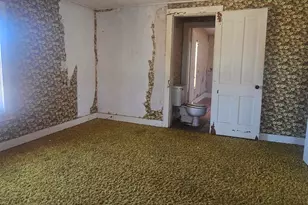 201 W 2nd St, Leaf River, IL 61047 - Photo 9