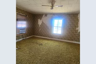 201 W 2nd Street, Leaf River, IL 61047 - Photo 7