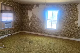 201 W 2nd St, Leaf River, IL 61047 - Photo 7