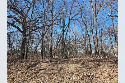 4722 W Longhollow Road, Galena, IL 61036 - Photo 11