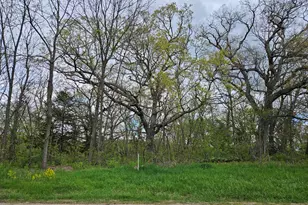4722 W Longhollow Rd, Galena, IL 61036 - Photo 1