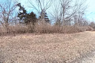 10 Wherry Dr, Putnam, IL 61560 - Photo 1