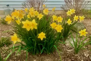 8712 Oakwood Glen Dr, Rockford, IL 61108 - Photo 61