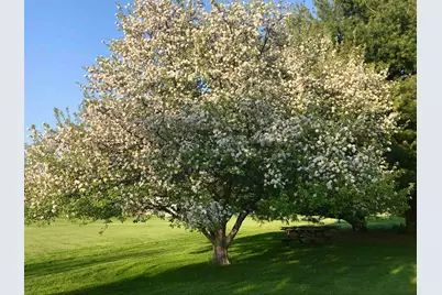 8712 Oakwood Glen Drive, Rockford, IL 61108 - Photo 63