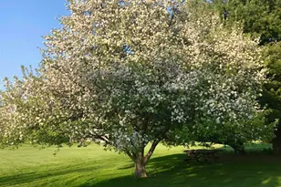 8712 Oakwood Glen Dr, Rockford, IL 61108 - Photo 63