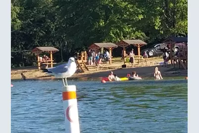 1765 Gainsboro Road, Davis, IL 61019 - Photo 5