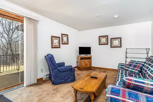 144 Plum Cove Dr, Galena, IL 61036 - Photo 21