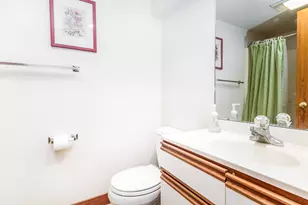 144 Plum Cove Dr, Galena, IL 61036 - Photo 25