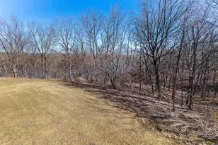 144 Plum Cove Dr, Galena, IL 61036 - Photo 3