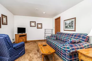 144 Plum Cove Dr, Galena, IL 61036 - Photo 19