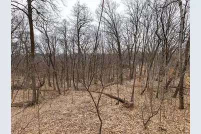 242 Blackhawk Trace, Galena, IL 61036 - Photo 13