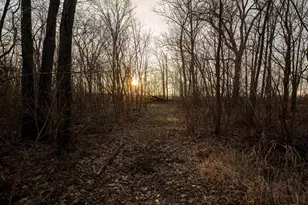 1459 Briar Knoll Rd, Amboy, IL 61310 - Photo 41