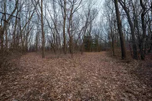 1459 Briar Knoll Rd, Amboy, IL 61310 - Photo 35