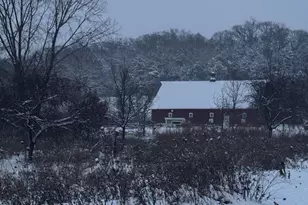 4989 N Ford Rd, Scales Mound, IL 61075 - Photo 77