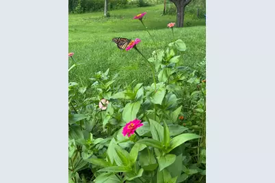 4989 N Ford Road, Scales Mound, IL 61075 - Photo 49