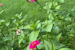 4989 N Ford Rd, Scales Mound, IL 61075 - Photo 49