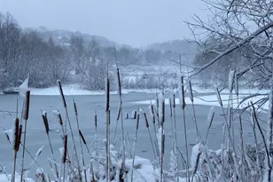 4989 N Ford Rd, Scales Mound, IL 61075 - Photo 53