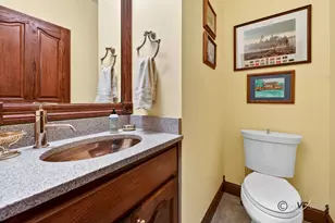 11A65 Fairway Dr, Apple Canyon Lake, IL 61001 - Photo 23