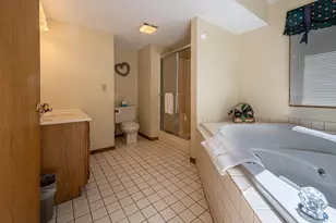 1 Vista Ridge Dr, Galena, IL 61036 - Photo 59